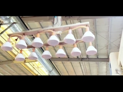 Gorąco sprzedawane ciasteczka mason jar słoiki z tworzywa sztucznego z niską ceną